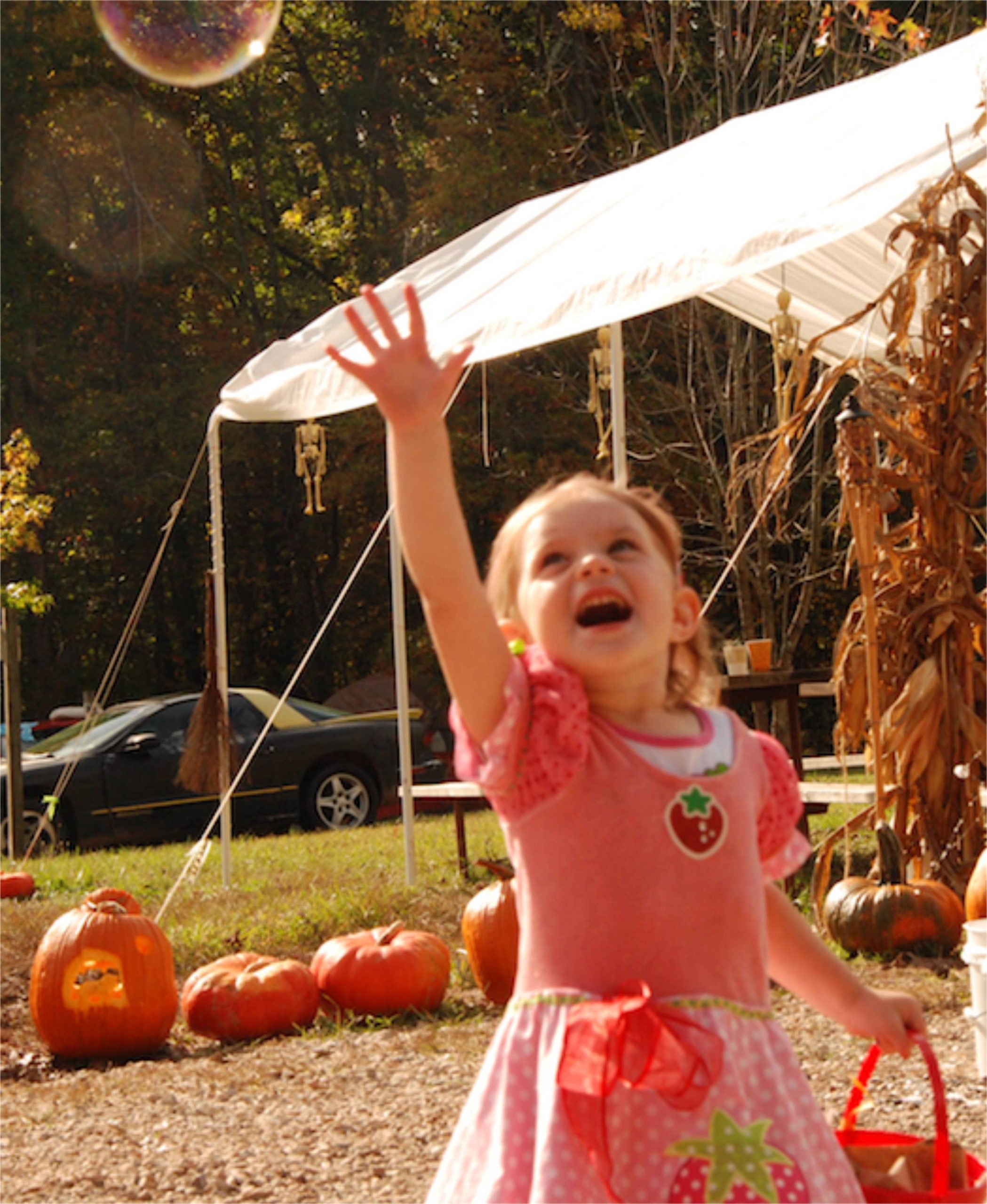 Autumn Joy, Photo by Nellie Werger